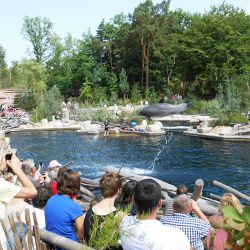 Delphinbecken im Tiergarten Nürnberg